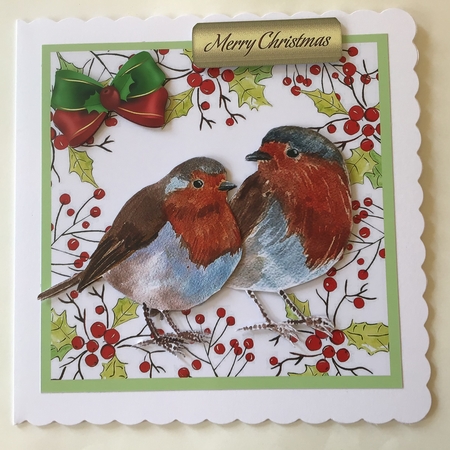 Lovely Watercolour Robins in festive holly frame 7x7 by Jennifer Archer