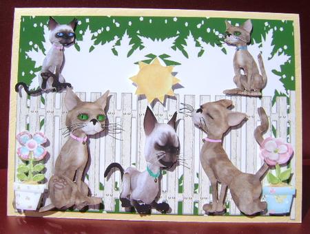 Oh! I Say Hello There! Cheeky Cats in the Garden by Jennifer Archer