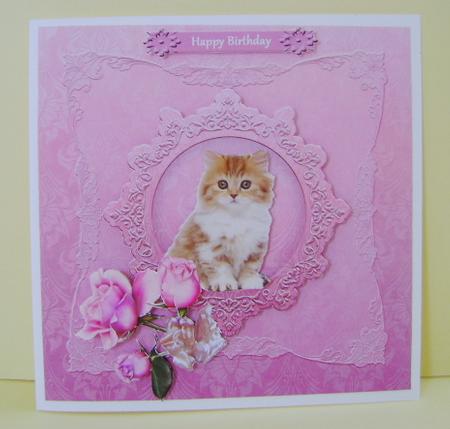 Sweet Kitten by Jennifer Archer