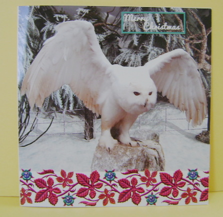 Christmas Birthday White Owl by Jennifer Archer