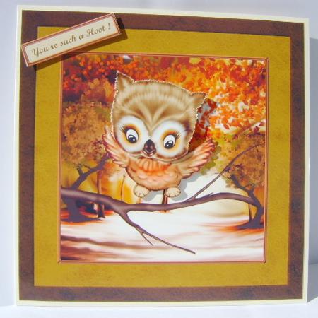 Such a Hoot ! by Jennifer Archer