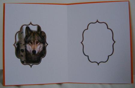The Lone Wolf Insert by Jennifer Archer