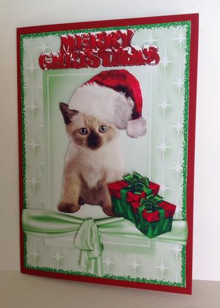 Cute Kitty in Santa Hat with Pressies by Jennifer Archer