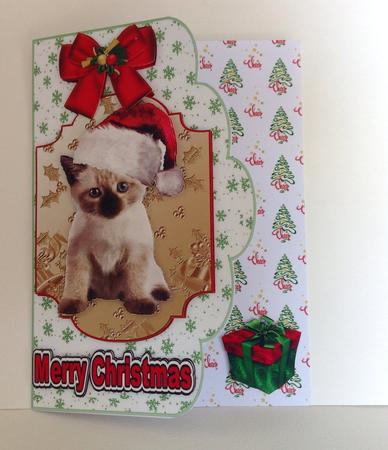Cute Kitty in Santa Hat, Topper and Card by Jennifer Archer