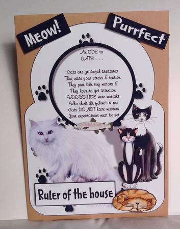 An Ode to Cats by Jennifer Archer