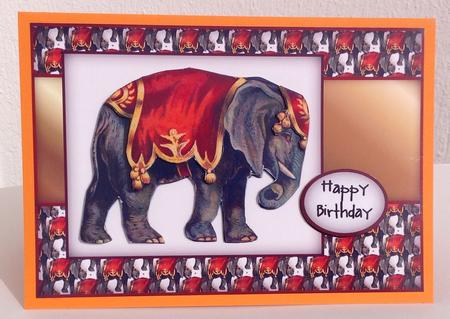 Circus Elephant Sbs by Jennifer Archer