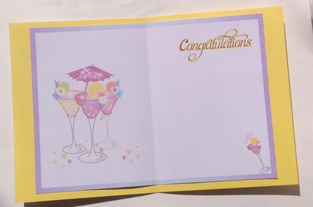 Insert for Celebration Cocktails by Jennifer Archer