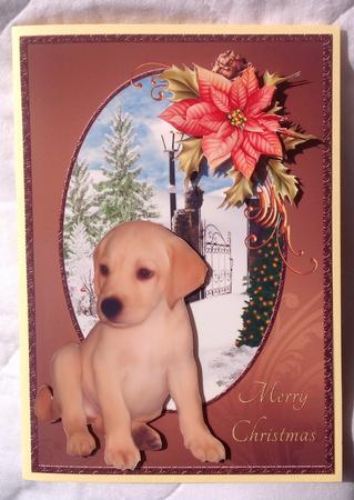 Golden Labrador Pup & Poinsettia Christmas Card by Jennifer Archer