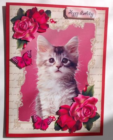 Gorgeous Brown Kitten with Hot Pink Roses by Jennifer Archer