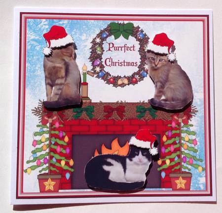 Cosy Cats Christmas Fireside - Purrfect Christmas by Jennifer Archer