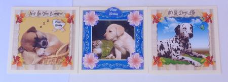 Kittens & Puppies Bumper Kit by Jennifer Archer