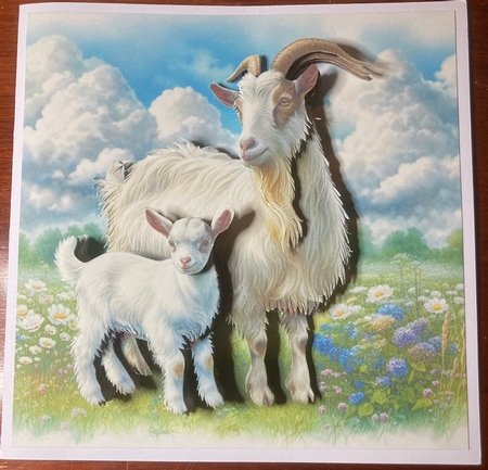 Momma Goat  by Jenny Bennett