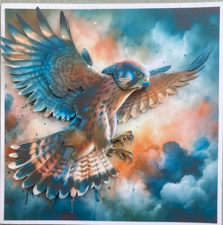 Falcons by Jenny Bennett