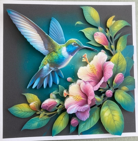 Hummingbird  by Jenny Bennett