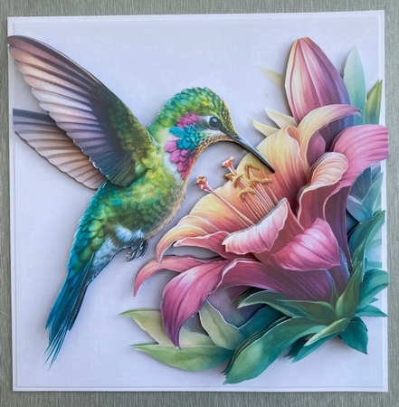 Hummingbird  by Jenny Bennett