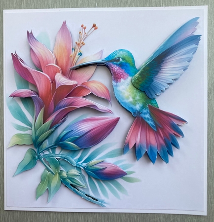 Hummingbird  by Jenny Bennett