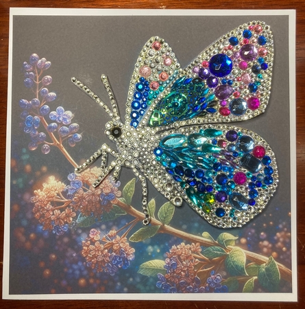Jewelled Butterflies 1 by Jenny Bennett
