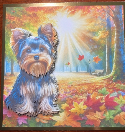 Autumn Park Pups 7 by Jenny Bennett