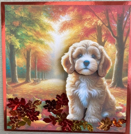Autumn Park Pups 11 by Jenny Bennett