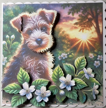 Jasmine Sunrise 2 by Jenny Bennett