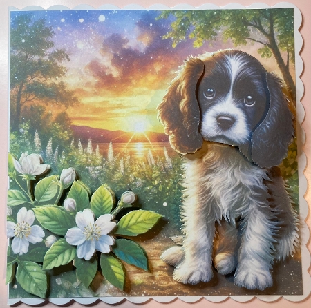 Jasmine Sunrise 5 by Jenny Bennett