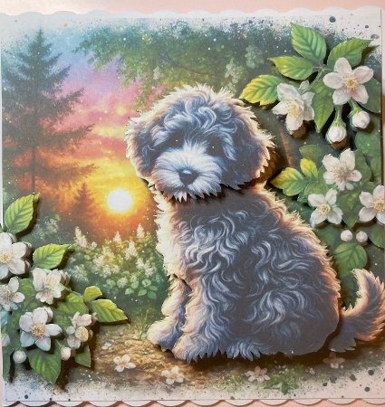 Jasmine Sunrise 6 by Jenny Bennett