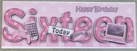 Large DL Happy Birthday SIXTEEN TODAY 3D decoupage by Jenny Bennett