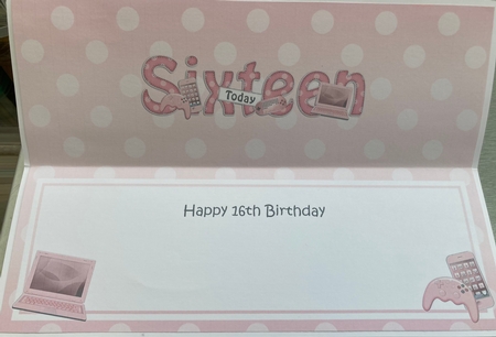 Large DL Happy Birthday SIXTEEN TODAY insert by Jenny Bennett