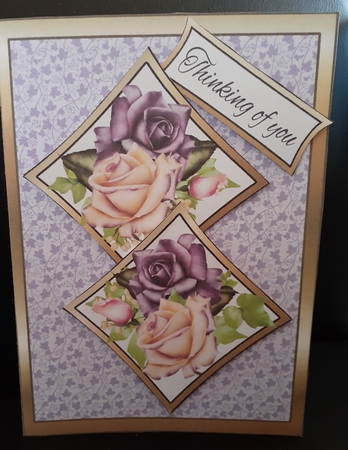 Two Squares Heritage roses by Jenny Caldwell