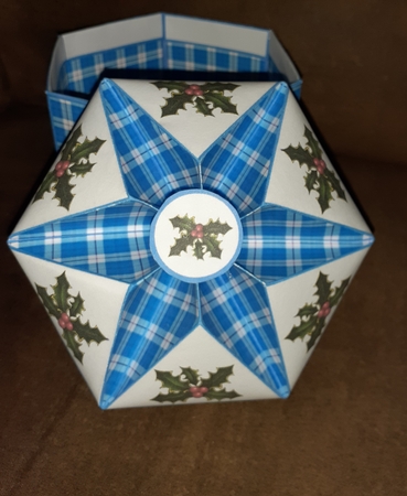 FTBM Blue tartan with holly by Jenny Caldwell