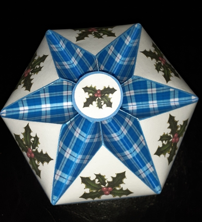 FTBM Blue tartan with holly by Jenny Caldwell