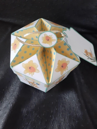 FTBM Daffodils by Jenny Caldwell