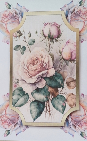 Antique rose 5x7 by Jenny Caldwell
