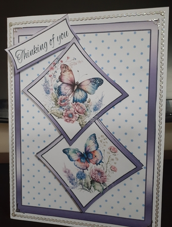 Two squares Lilac & blue butterflies by Jenny Caldwell