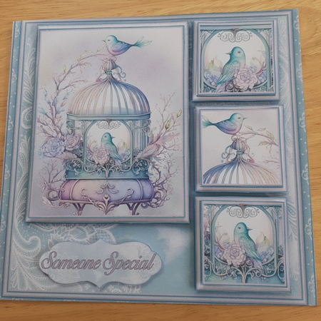 Beautiful Bird Cage Mini Kit #4 by Jenny Caldwell