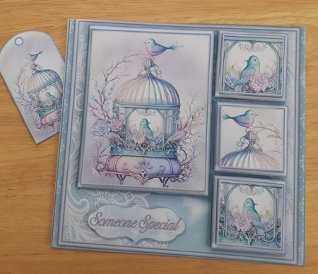 Beautiful Bird Cage Mini Kit #4 by Jenny Caldwell