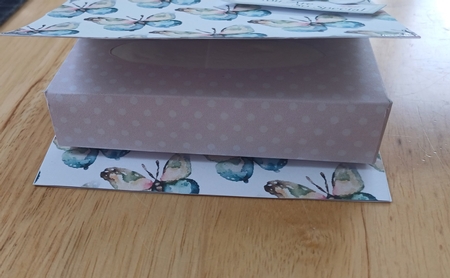 Pretty Water Colour Butterflies Backing Paper (Small) by Jenny Caldwell