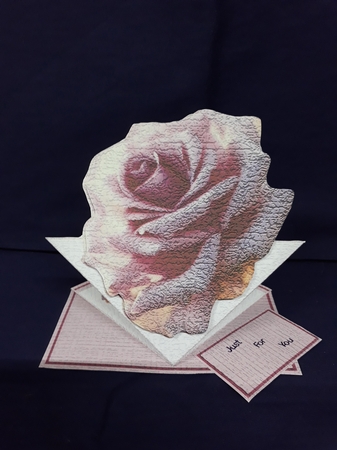 Pink Rose by Jenny Caldwell