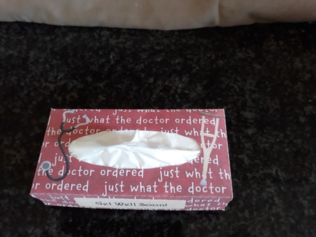 Road to Recovery Get Well Soon Personal Tissue Box Cover by Jenny Caldwell