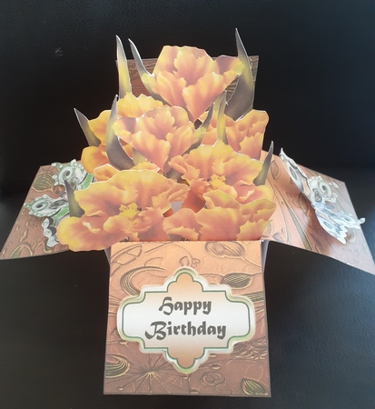 Oriental Box Card Orange by Jenny Caldwell