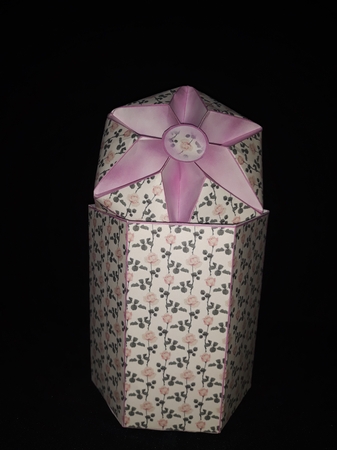 FTBT Pink roses by Jenny Caldwell