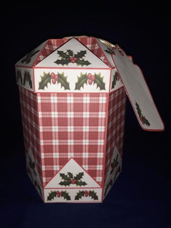 FTBT Tartan & holly by Jenny Caldwell