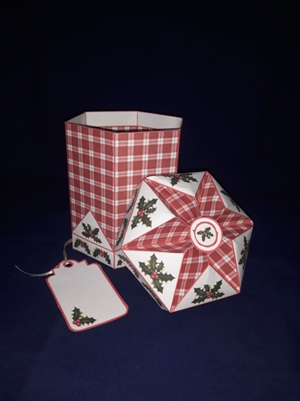 FTBT Tartan & holly by Jenny Caldwell
