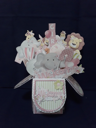 3D POP UP BOX CARD KIT - WELCOME BABY GIRL by Jenny Caldwell