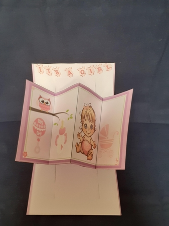 Its a Girl  by Jenny Caldwell