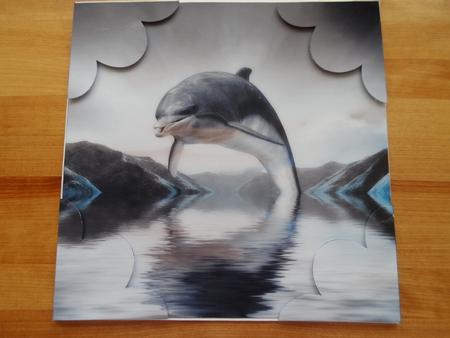 Dolphin Fantasy Quadro Petal Corner Stacker by Jessica Vine