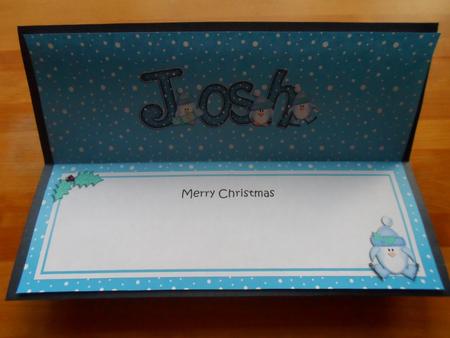 Merry Christmas Josh Penguins Matching Large Dl Insert by Jessica Vine