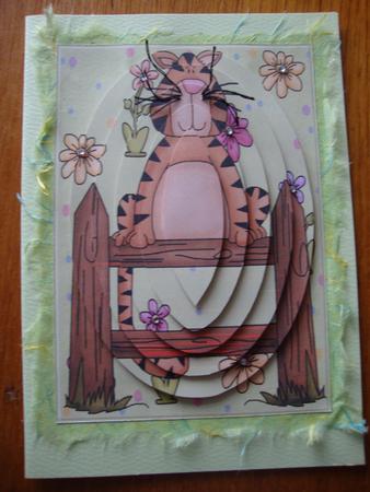 Spring Cat Pyramid by Jill Duncanson