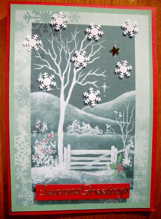 Black and White Christmas Garden Card Insert by Jill Duncanson