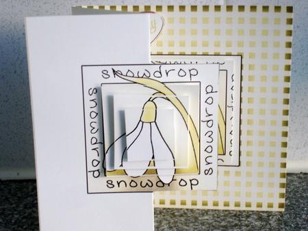 Snowdrop Fold Back Card with Pyramage by Jill Haynes